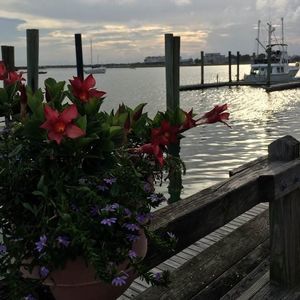 Meet your Posher, Marick